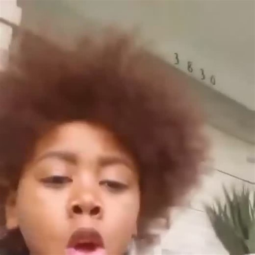 Meme Archive on Instagram: "Mr Postman Vine (2015) . . . #funny #viral #reels #fyp #relatable #archive #viralreels"