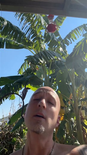 2.3K views · 35 reactions | St Martin vs Avoyelles Parish How you say hungry in Cajun French? #Cajun #French #CajunFrench #Accent #viralchallenge#reels #wordoftheday Sarah O'Pry Koa Guidry Melancon | Daniel Guilbeau | Facebook