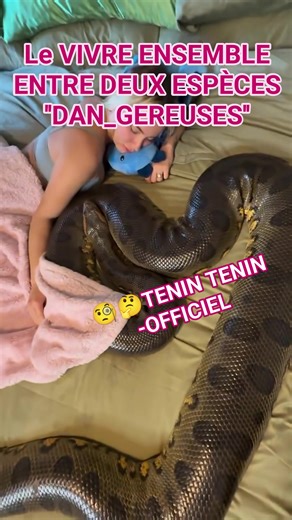 411K views · 1.2K reactions | PS/婢 LA COHABITATION ENTRE DEUX ESPÈCES ''DAN__GEREUSES''樂類樂 SI CE N'EST PAS UN MATIN, CE SERAIT UN SOIR , LA TR_AHISON VA POINTER AU CALME 藍藍 APPRECIEZ LES DANS LEUR LOVE 藍 #TENINTENIN_OFFICIEL #ZTEN #TENINZADI | TENIN TENIN - Officiel | Facebook