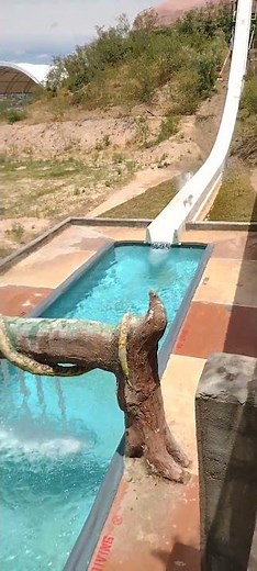 Wet N Wild Water Park Rides