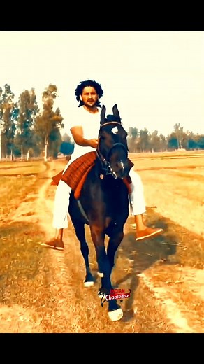 16K views · 557 reactions | #horsevlogger #horseblogger #horsevlog #indianhorse #villagevlog #Dailyblog #Dailyvlog #horse #foreels #FacebookPage #viralpost #horselover #reels #reelsinstagram #viralreelsfb #reelsvideo #reelsindia #shorts #shortsvideo #vlog #blog #indianchaalbaaz #atifanwar | Indian Chaalbaaz | Facebook