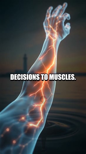 Moments of Magnitude Fresh Mind-Blowing Visual Facts