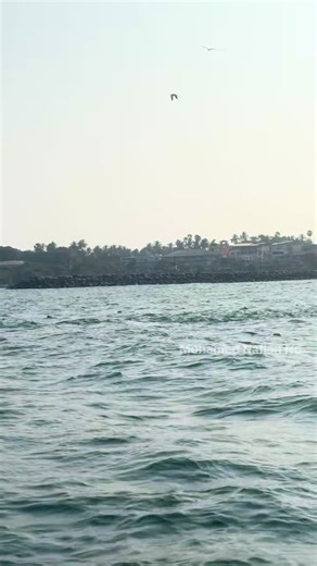 මඩියට සෙට් වුනු පරව් රථේ බෝට්ටුවෙන් මඩිය බලන්න ගියේ මෙහෙමයි 💝 #fiahing #fishinglife