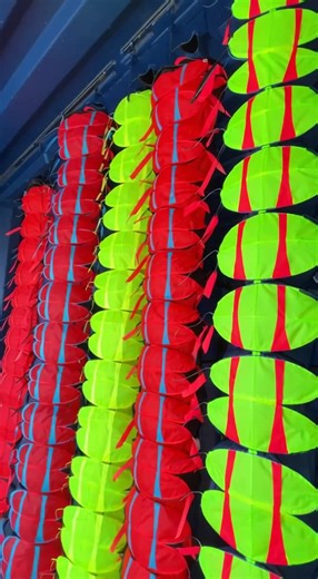 Centipede Kite Creation: A Unique Outdoor Experience