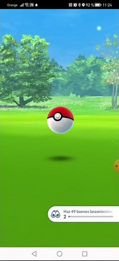 SAWK, Pokémon nº 539 de la Pokédex