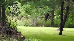 Minecraft Survival Tips