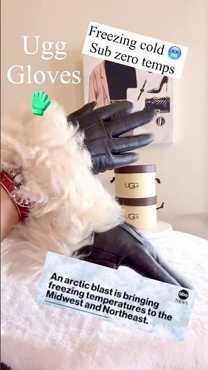 COLD FRONT 2026 UGG GLOVES FURRY GLOVE COLLECTION #ugg #uggseason #winterlooks