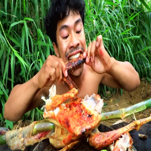 Building a Trap for Hunting Turkey Chicken for Cooking, So Delicious | Living In Jungle