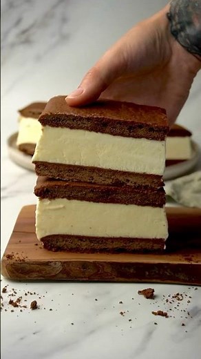 Homemade ice cream sandwiches