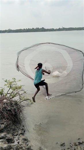 River monster catfish catch by net fishing #shorts #fishingvideo #fishinglife #bigfish #fishing