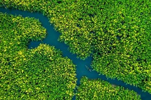 Lensman captures Vietnam’s beauty from the air - VnExpress International