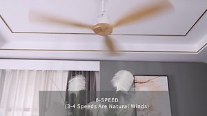 CACI Mall 52 in. Indoor Integrated LED White Ceiling Fan with Light Kit and Remote Control for Bedroom or Living Room MR-52K076-WHYM