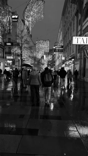 Exploring the Charm of Vienna, Austria