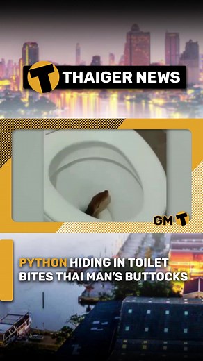 Python hiding in toilet bites Thai man’s buttocks #snakesoftiktok #reticulatedpython #snakebite #thailandnews🇹🇭