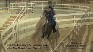 3.7K views · 108 reactions | Let's pretend we are in Asheville...