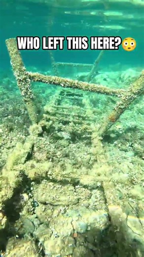 For years, that strange thing underwater has been a ladder, hasn't it? 😳#explore #mystery #bluepulse