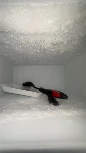 Freezer ASMR and Character Development Insights