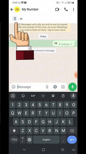 How to Pin a Message in WhatsApp chat, Group and Communities