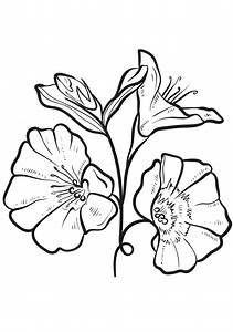 Coloring Pages | Coloring Pages Download