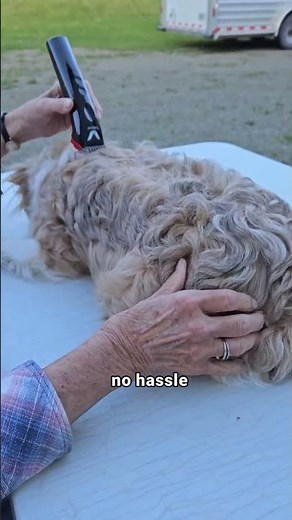 IProfessional Cordless Hair Clipper Review | 5-in-1 Blade Grooming Kit for Dogs, Cats, & Horses