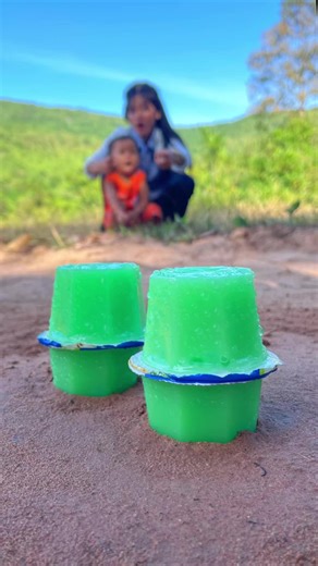 Essential Survival Skills: Mastering Bushcraft Techniques