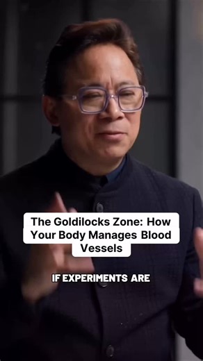 The body’s angiogenesis system is designed to grow blood vessels only where needed. Healthy foods don’t shut this system down—they help keep it balanced in the “just right” zone. Clip from podcast: The Diary of a CEO by Steven Bartlett #foodismedicine #angiogenesis #healthdefense #nutrition | Smart Nanovirus | Facebook