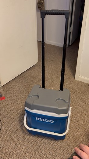 Watch Igloo Latitude 16 Roller Cooler on Amazon Live