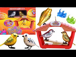 UNBOXING NEW DIGIBIRDS|SILVERLIT TOY|Who sings better?| asmr