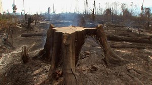 ALMA a film by Patrick Rouxel