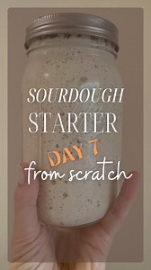 Day 7️⃣ of Making a Starter from Scratch - Your starter should be very active and rising to more than double its size in roughly 8 hours consistently. If this is not the case, repeat the steps in day 6 until you are at this point. Now we are going to switch to feeding our starter regular white flour (all purpose or bread flour) and we are going to feed it a higher ratio so the food lasts for the yeast guys to munch on for 12 hours until next feeding. We are feeding our starter a 1:3:3 ratio, 20g