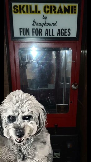 Grey Hound Claw Machine (Extremely Rare Sound File/ROM)