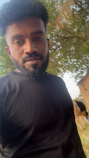 479K views · 10K reactions | #vlog #vlogger #blog #blogger #viral #trending #cowfarm #dairyfarm #cows #cowboy #animals #bulls #hallikar #cowboymanu | Manoj Manu | Facebook