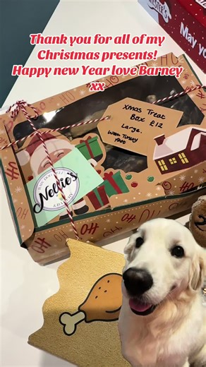 Happy New Year everyone!! Barney loved all his Christmas treats & toys! Thank you very much ❤️ #happynewyear #fyp #dog #goldenretriever #dogs