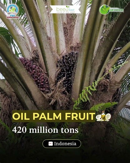 Top 10 Crops That Feed the World 🌾 | Global Agriculture & Food System Explained | FSII