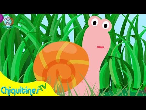 Caracol Caracolito - Canción Infantil