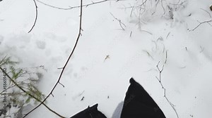 Walking in the snow during a winter hike. Boots leave footprints in the fresh snow. Walking or hiking in the winter season in the mountains or forest. Winter outdoor activities. Russia 2022