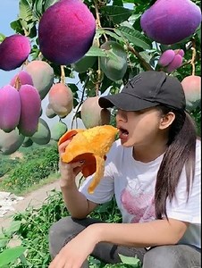 65K views · 2.8K reactions | Great Organic Fruit Farm - Agriculture Technology | Israel Agriculture Love | Facebook