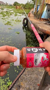 3.4M views · 43K reactions | Fishing with linzi red corn bait part -03 #fishinglife #fishing #fishingislife #reelsviralfb #fish #reelsviral #reels | Village life Fishing | Facebook