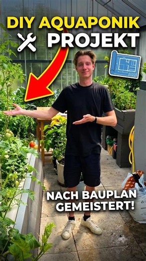 So genial sieht Aquaponik nach unserem Bauplan aus! 🌿🐟