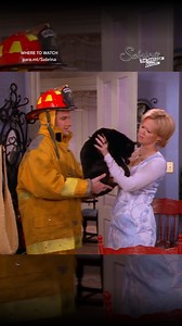 10K views · 663 reactions | Salem is the perfect wing-cat! #SabrinatheTeenageWitch | Now streaming on Paramount+ | Sabrina, the Teenage Witch | Facebook