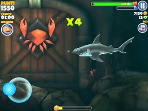 Hungry shark caranguejo gigante