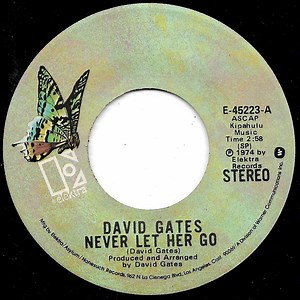 David Gates - Never Let Her Go