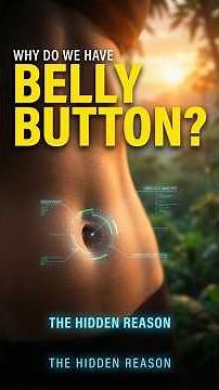 Why Do Humans Have a Belly Button? The Hidden Reason Explained