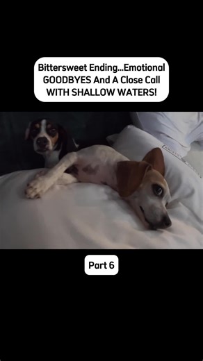 Bittersweet Ending...Emotional GOODBYES And A Close Call WITH SHALLOW WATERS! #sisterssailing #solosailing #sailingthefarside