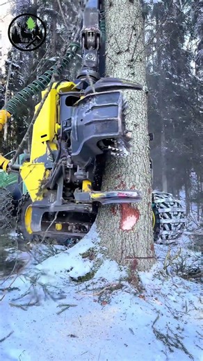 Protecting forests is everyone's responsibility.#forestry#asmr#forestasmr#harvester#owinterfrest