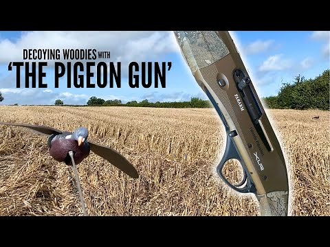 Decoying Wood Pigeons | I had ALOT of fun shooting these fast birds!! | Fabarm XLR Columba Palumbus
