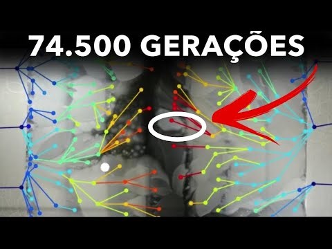 O Experimento de Evolução Mais Duradouro do Mundo