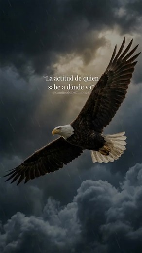 Las personas que saben hacia donde se dirigen no necesitan demostrarlo constantemente. Su actitud habla por ellas. Mientras muchos se distraen con opiniones, obstáculos o resultados temporales, quienes tienen una visión clara continúan avanzando con determinación. La seguridad no nace de tener todas las respuestas, sino de confiar en el camino que has decidido recorrer. Cuando existe un propósito definido, las dificultades dejan de ser razones para detenerse y se convierten en parte del proceso.