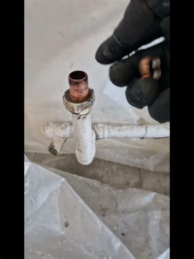 Olive removal. Many different ways to remove olives this is mine. @rothenberger olive splitters