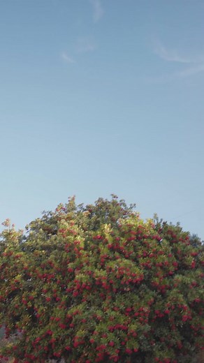 High-Quality Products for Rapid F-150 Build